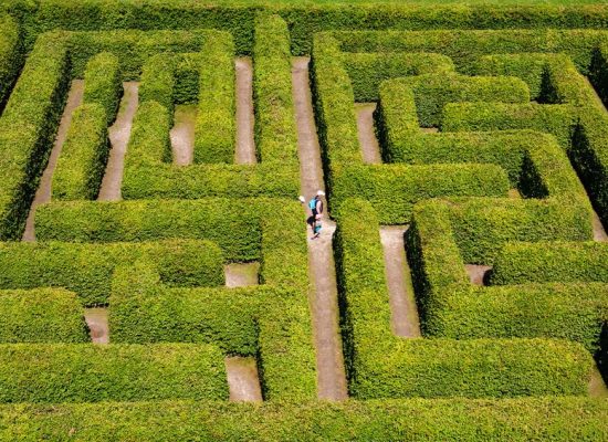 People walking on green bushes labyrinth, hedge maze. People walking on green bushes labyrinth, hedge maze.